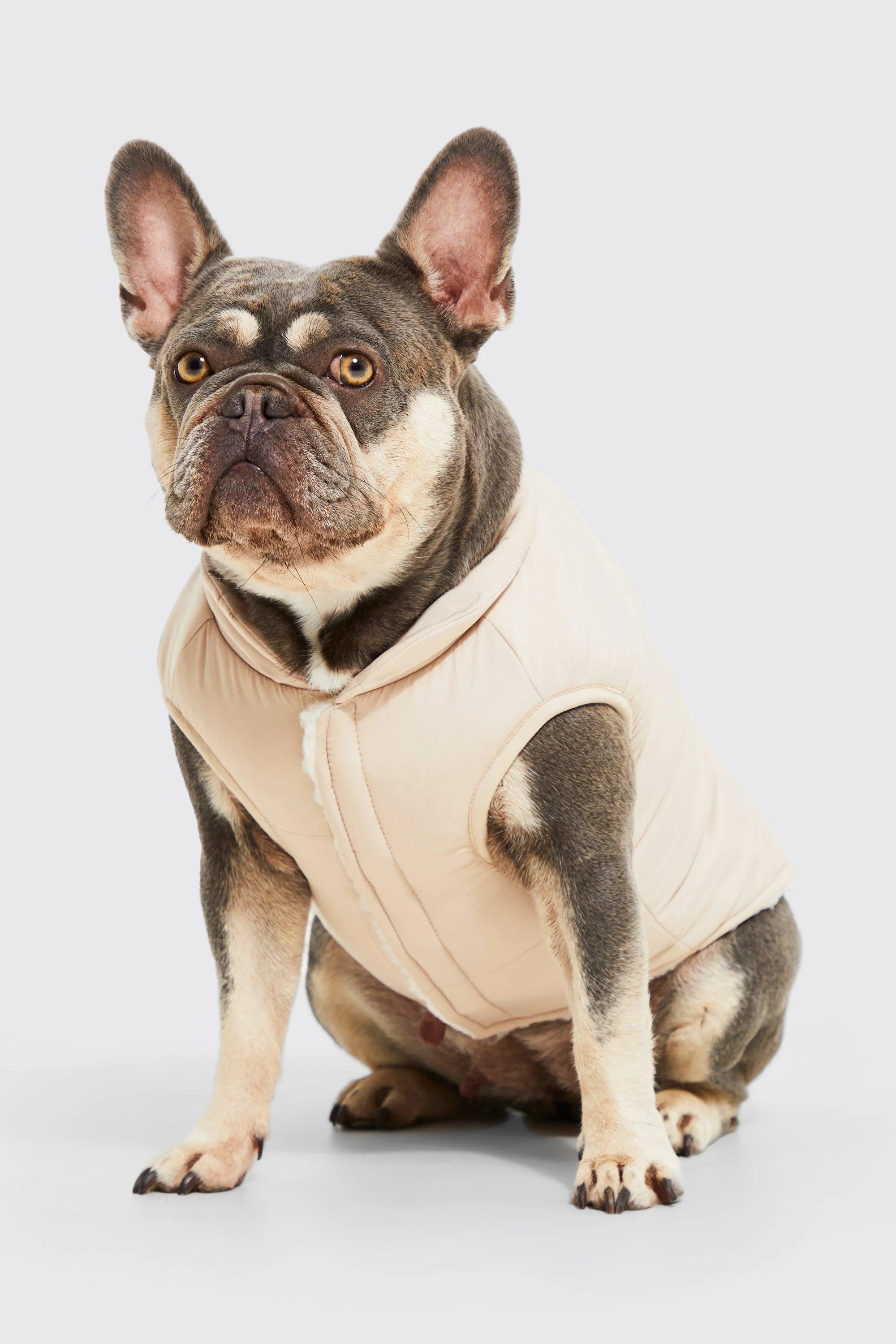 BoohooMAN Reversible Borg Dog Coat | boohooMAN UK