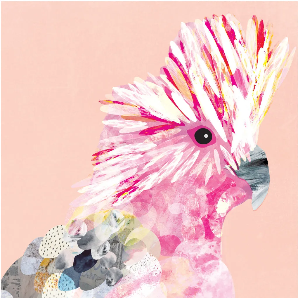 Colour Pop Galah Art Print