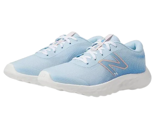 Girl's New Balance, 520v8 Sneaker (GP520SP8)