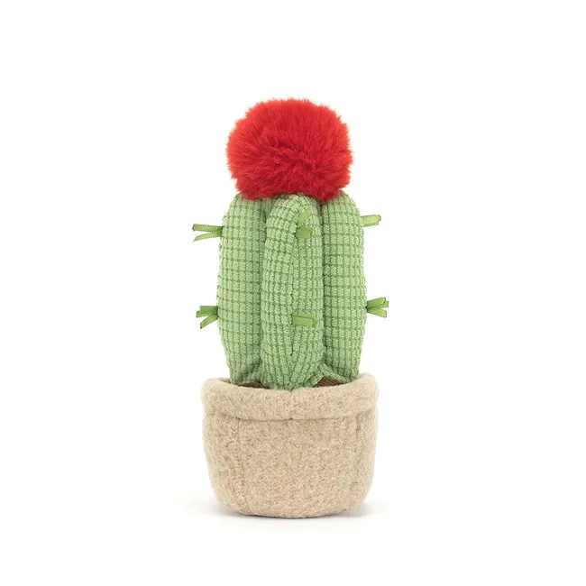 Jellycat Amuseable Moon Cactus