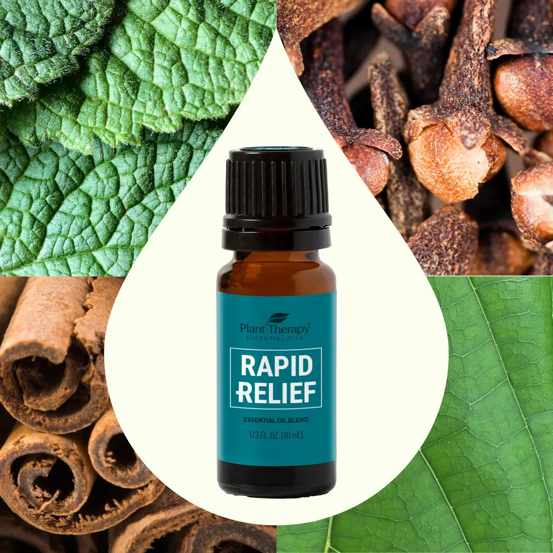 Plant Therapy Rapid Relief Essential Oil Blend