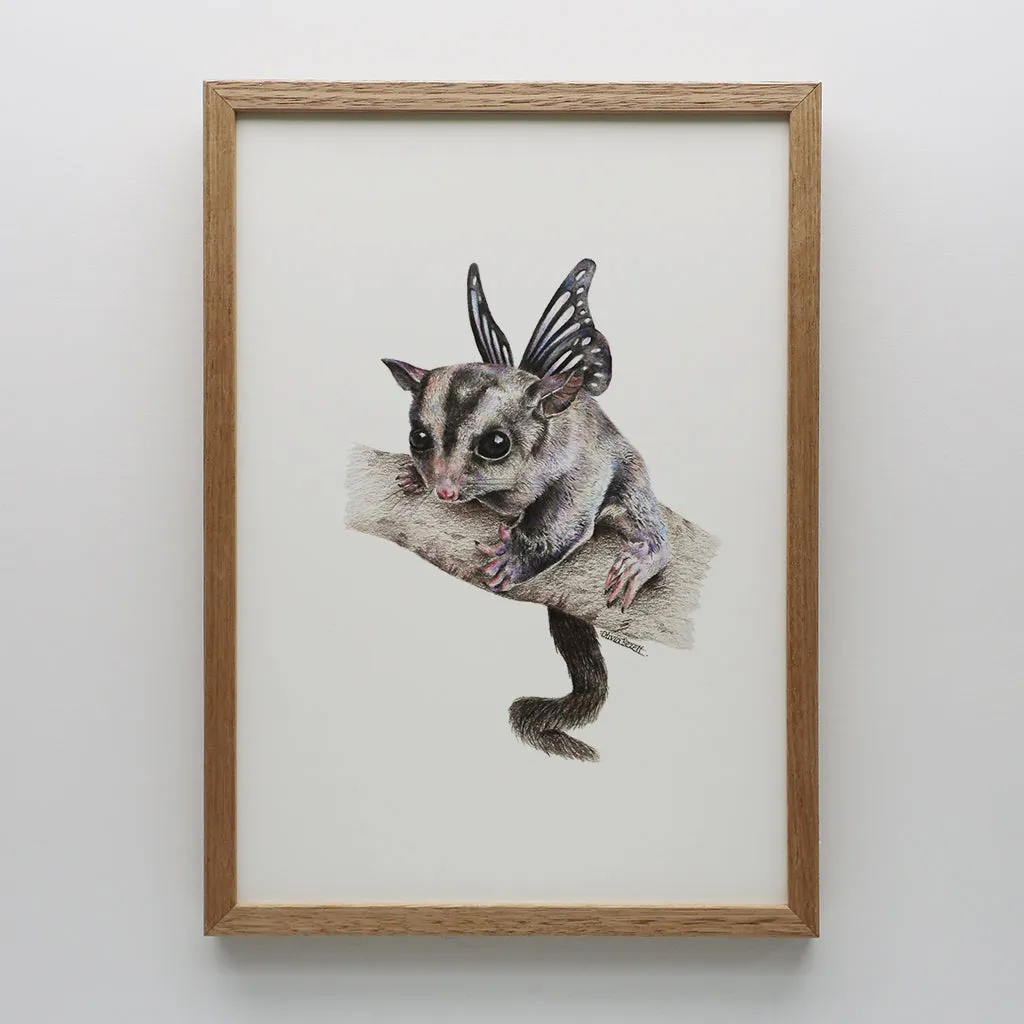 Sugar Glider Print