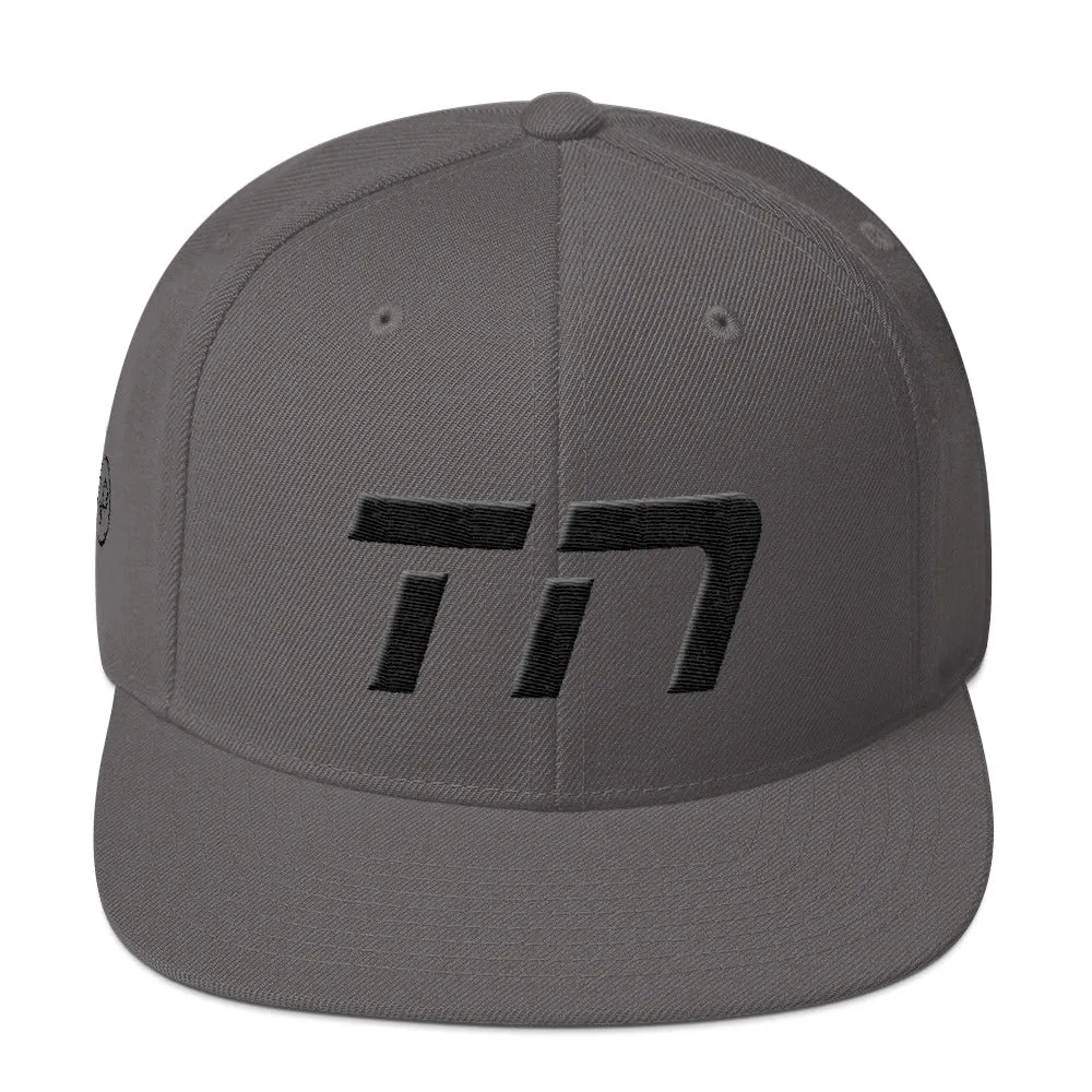 Tennessee - Flat Brim Hat - Black Embroidery - TN - Many Hat Color Options Available