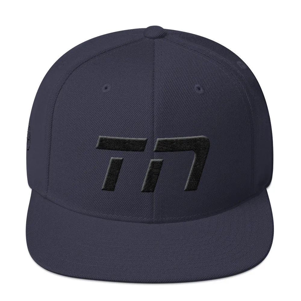 Tennessee - Flat Brim Hat - Black Embroidery - TN - Many Hat Color Options Available